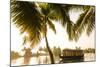 Traditional House Boat, Kerala Backwaters, Nr Alleppey, (Or Alappuzha), Kerala, India-Peter Adams-Mounted Photographic Print