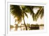 Traditional House Boat, Kerala Backwaters, Nr Alleppey, (Or Alappuzha), Kerala, India-Peter Adams-Framed Photographic Print