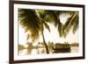 Traditional House Boat, Kerala Backwaters, Nr Alleppey, (Or Alappuzha), Kerala, India-Peter Adams-Framed Photographic Print