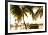 Traditional House Boat, Kerala Backwaters, Nr Alleppey, (Or Alappuzha), Kerala, India-Peter Adams-Framed Photographic Print