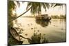 Traditional House Boat, Kerala Backwaters, Nr Alleppey, (Or Alappuzha), Kerala, India-Peter Adams-Mounted Photographic Print