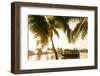 Traditional House Boat, Kerala Backwaters, Nr Alleppey, (Or Alappuzha), Kerala, India-Peter Adams-Framed Photographic Print