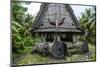 Traditional House with Stone Money in Front-Michael Runkel-Mounted Photographic Print