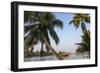 Traditional Houseboat, Kerala Backwaters, Alleppey, Kerala, India-Peter Adams-Framed Photographic Print