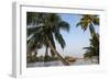 Traditional Houseboat, Kerala Backwaters, Alleppey, Kerala, India-Peter Adams-Framed Photographic Print