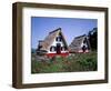 Traditional Houses at Santana, Madeira, Portugal-Hans Peter Merten-Framed Photographic Print