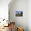 Traditional Houses at Santana, Madeira, Portugal-Hans Peter Merten-Photographic Print displayed on a wall