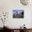 Traditional Houses at Santana, Madeira, Portugal-Hans Peter Merten-Photographic Print displayed on a wall