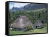 Traditional Houses, Bures, in the Last Old-Style Village, Fiji, South Pacific Islands-Anthony Waltham-Framed Stretched Canvas