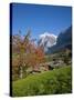 Traditional Houses, Wetterhorn and Grindelwald, Berner Oberland, Switzerland-Doug Pearson-Stretched Canvas