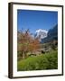 Traditional Houses, Wetterhorn and Grindelwald, Berner Oberland, Switzerland-Doug Pearson-Framed Photographic Print