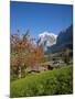 Traditional Houses, Wetterhorn and Grindelwald, Berner Oberland, Switzerland-Doug Pearson-Mounted Photographic Print