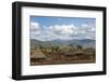 Traditional houses with thatched roof, Konso, Ethiopia-Keren Su-Framed Photographic Print