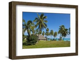 Traditional hut in Saint Joseph, Ouvea, Loyalty Islands, New Caledonia, Pacific-Michael Runkel-Framed Photographic Print