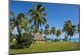 Traditional hut in Saint Joseph, Ouvea, Loyalty Islands, New Caledonia, Pacific-Michael Runkel-Mounted Photographic Print