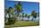 Traditional hut in Saint Joseph, Ouvea, Loyalty Islands, New Caledonia, Pacific-Michael Runkel-Mounted Photographic Print