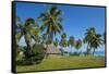 Traditional hut in Saint Joseph, Ouvea, Loyalty Islands, New Caledonia, Pacific-Michael Runkel-Framed Stretched Canvas