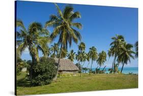 Traditional hut in Saint Joseph, Ouvea, Loyalty Islands, New Caledonia, Pacific-Michael Runkel-Stretched Canvas