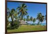Traditional hut in Saint Joseph, Ouvea, Loyalty Islands, New Caledonia, Pacific-Michael Runkel-Framed Photographic Print
