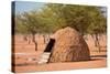 Traditional Huts of Himba People-F.C.G.-Stretched Canvas