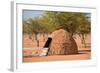 Traditional Huts of Himba People-F.C.G.-Framed Photographic Print