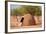 Traditional Huts of Himba People-F.C.G.-Framed Photographic Print