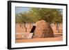 Traditional Huts of Himba People-F.C.G.-Framed Photographic Print