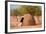 Traditional Huts of Himba People-F.C.G.-Framed Photographic Print