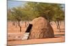 Traditional Huts of Himba People-F.C.G.-Mounted Photographic Print