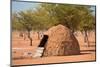 Traditional Huts of Himba People-F.C.G.-Mounted Photographic Print