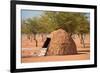 Traditional Huts of Himba People-F.C.G.-Framed Photographic Print