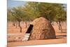 Traditional Huts of Himba People-F.C.G.-Mounted Photographic Print
