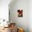 Traditional Indian Wool, Solola, Guatemala, Central America-Upperhall Ltd-Stretched Canvas displayed on a wall