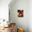 Traditional Indian Wool, Solola, Guatemala, Central America-Upperhall Ltd-Mounted Photographic Print displayed on a wall