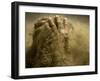 Traditional Indian Wrestler Smears Mud on Himself During a Practice Session in Calcutta, India-null-Framed Photographic Print