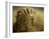 Traditional Indian Wrestler Smears Mud on Himself During a Practice Session in Calcutta, India-null-Framed Photographic Print