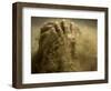 Traditional Indian Wrestler Smears Mud on Himself During a Practice Session in Calcutta, India-null-Framed Photographic Print