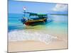 Traditional Indonesian Outrigger Fishing Boat on Island of Gili Meno in Gili Isles, Indonesia-Matthew Williams-Ellis-Mounted Photographic Print