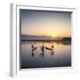 Traditional Intha fisherman, Inle Lake, Shan State, Burma, (MR)-Jan Christopher Becke-Framed Photographic Print