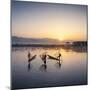 Traditional Intha fisherman, Inle Lake, Shan State, Burma, (MR)-Jan Christopher Becke-Mounted Photographic Print