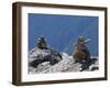 Traditional Inushuk Cairns at the Peak of Whistler Mountain, Whistler, British Columbia, Canada, No-Martin Child-Framed Photographic Print