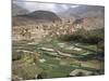 Traditional Jabali Village with Palmery in Basin in Jabal Akhdar, Bilad Sayt, Oman, Middle East-Tony Waltham-Mounted Photographic Print