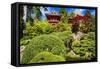 Traditional Japanese Pavilions In A Garden-George Oze-Framed Stretched Canvas