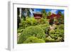 Traditional Japanese Pavilions In A Garden-George Oze-Framed Photographic Print