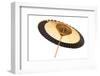 Traditional Japanese Umbrella Made of Bamboo and Paper-Stanislav Komogorov-Framed Photographic Print