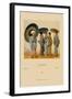 Traditional Japanese Women-Racinet-Framed Art Print