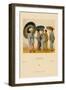 Traditional Japanese Women-Racinet-Framed Art Print