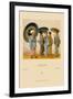 Traditional Japanese Women-Racinet-Framed Art Print