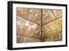 Traditional Kamasan Paintings-G &-Framed Photographic Print