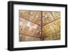 Traditional Kamasan Paintings-G &-Framed Photographic Print